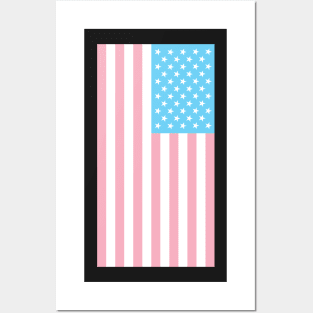 TRANSGENDER USA FLAG (alt. angle) - PALE BLUE, WHITE AND PINK TRANSGENDER FLAG Posters and Art